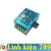 Bộ điều khiển động cơ PWM 9-60VDC 12V 24V 36V 48V 20A